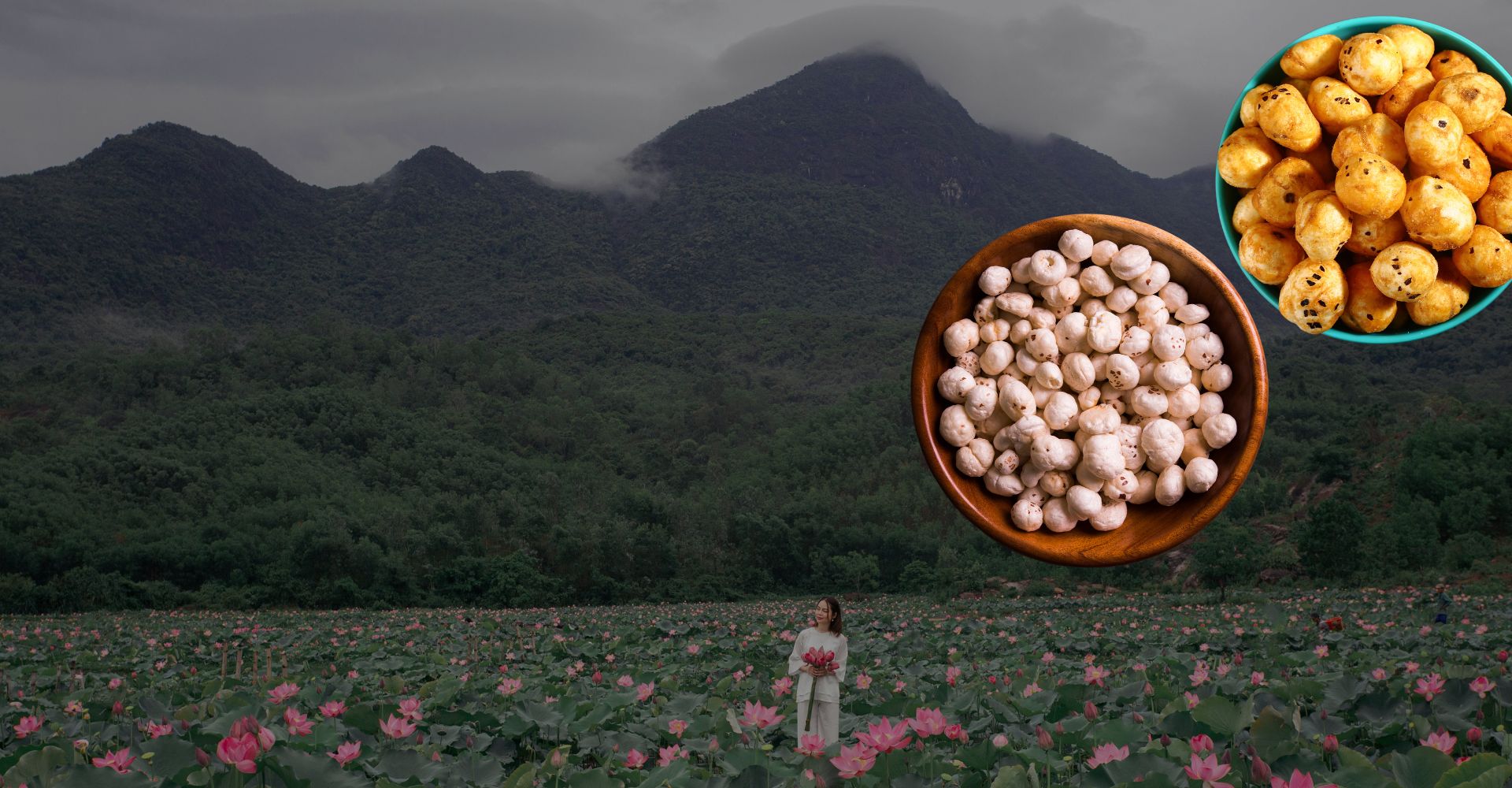 Premium Wholesale Suppliers of Makhana and Cashew